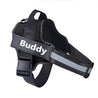 Adjustable reflective no-pull dog harness with personalized name patch and sturdy handle for comfort and control during walks.