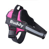 Pink no-pull dog harness with adjustable straps, reflective strips, and personalized name patch Buddy.