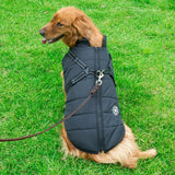 Golden retriever wearing a breathable black dog cotton vest sitting on green grass