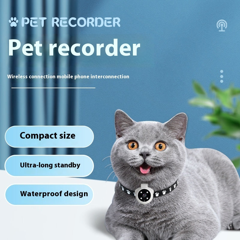 Pet Tracker Collar Camera on gray cat with wireless connection and waterproof design