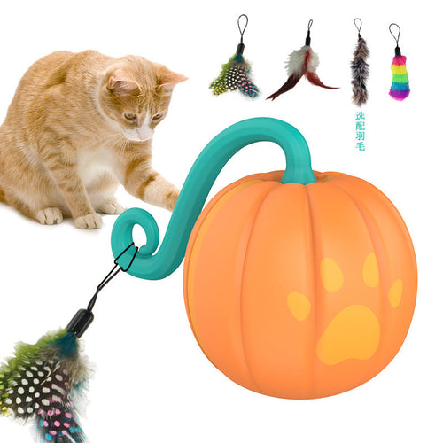 Orange pumpkin-shaped electric cat pet toy with feather attachments and a playing cat