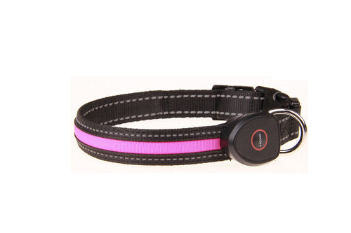USB Rechargeable LED dog collarAmalgamite Pets My StoreCatKeep your pup visible and safe during nighttime adventures with our USB-rechargeable LED dog collar! Designed for maximum visibility and comfort, this waterproof nylUSB Rechargeable LED Dog Collar – Glow-in-the-Dark Safety Collar for N