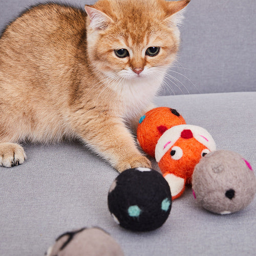 Cat playing with colorful felt toy balls with animal sounds on gray surface