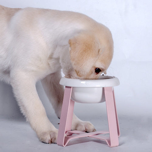Puppy eating from an ergonomic ceramic pet bowl with a pink iron stand, designed to elevate your pet's dining experience.