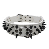 Large Bite-Proof Pet Collar