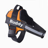Reflective no-pull dog harness with adjustable straps and personalized name patch in orange and black design