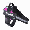 Adjustable no-pull dog harness with reflective strips and personalized name patch in black and pink design