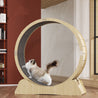 Indoor CatsAmalgamite Pets My StoreCat🏃♂️ Keep Your Cat Active &amp; Healthy with Our Silent Running Wheel – The Purr-fect Indoor Fitness Solution!
Is your kitty bouncing off the walls? Give them a safePremium Eco-Friendly Treadmill for Indoor Cats