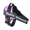 Adjustable pink no-pull dog harness with reflective strips and personalized name patch "Buddy"