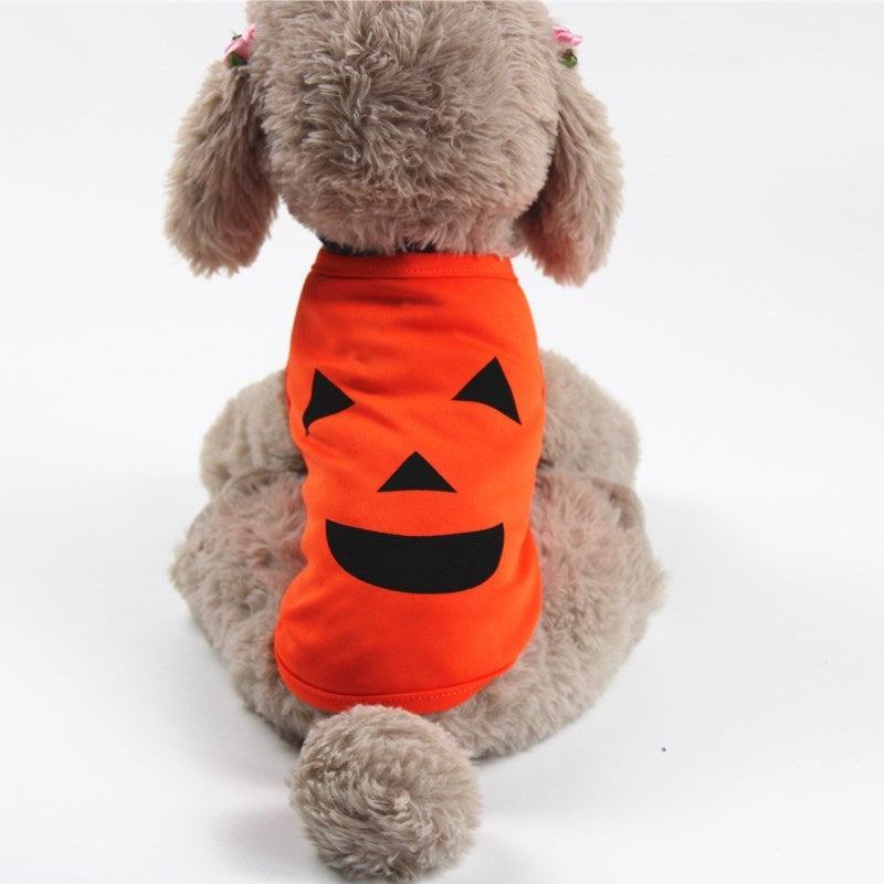 Pet pumpkin outfit.