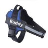Blue no-pull dog harness with adjustable reflective straps and personalized "Buddy" patch