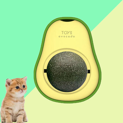 Avocado-shaped catnip toy with 360° rotating self-cleaning mint ball and a kitten nearby