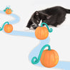 Black and white cat playing with electric pumpkin-shaped cat pet toy on white background