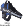 Reflective adjustable no-pull dog harness with personalized name patch and sturdy handle for comfort and control