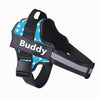 Adjustable blue no-pull dog harness with reflective strips and personalized name patch "Buddy"