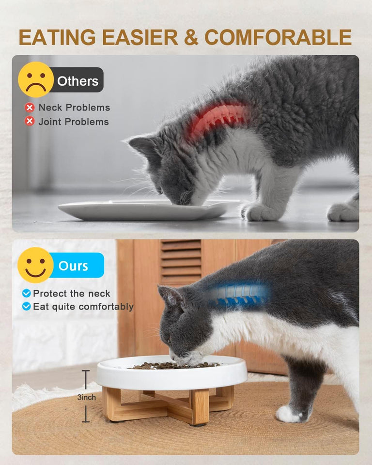 Ceramic Pet Feeder, Slow Feed Cat Bowls