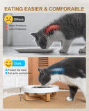 Ceramic Pet Feeder, Slow Feed Cat Bowls