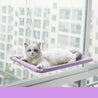 White cat lounging on a purple hanging cat window hammock designed for birdwatching and sunbathing.