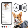 NFC Smart QR Code Pet ID Tag with bowknot design on dog collar and smartphone contact info display