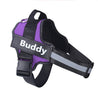 Reflective purple no-pull dog harness with adjustable straps and personalized name patch "Buddy"