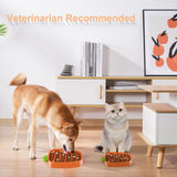 Slow Feeder Dog Bowl