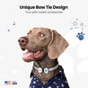 Dog wearing NFC Smart QR Code Pet ID Tag with silicone bowtie design collar accessory