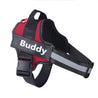 Adjustable red and black no-pull dog harness with reflective strips and personalized name patch "Buddy"