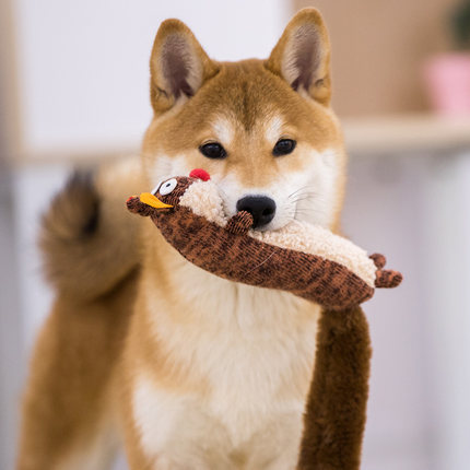 Pet Toys