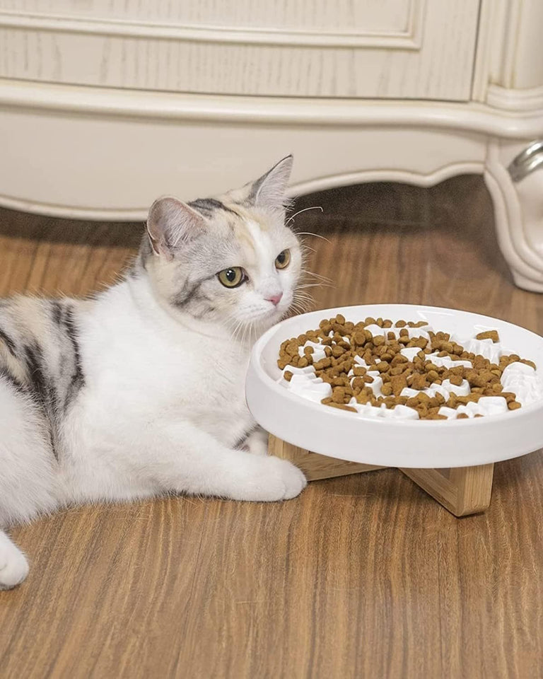 Ceramic Pet Feeder, Slow Feed Cat Bowls