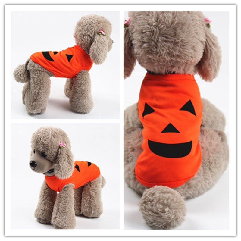 Pet pumpkin outfit.