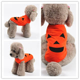 Pet pumpkin outfit.