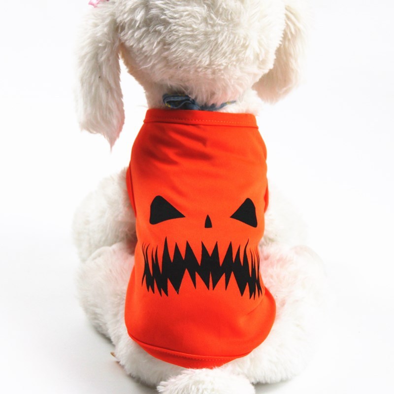 Pet pumpkin outfit.