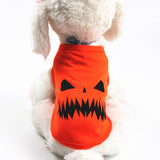 Pet pumpkin outfit.