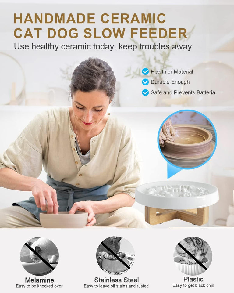 Ceramic Pet Feeder, Slow Feed Cat Bowls