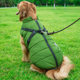 Golden retriever wearing a green breathable and washable dog cotton vest with harness attachment, sitting on grass outdoors