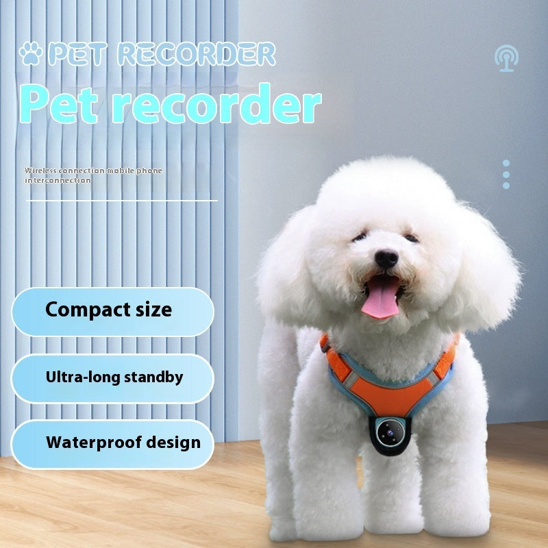 White fluffy dog wearing an orange pet tracker collar camera with GPS and 170° wide-angle recording, featuring compact size, ultra-long standby, and waterproof design