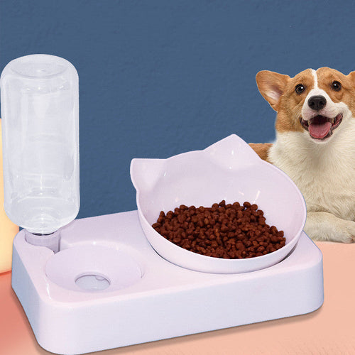 White anti overturning dog and cat food bowl with attached water dispenser and a dog in background
