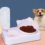 White anti overturning dog and cat food bowl with attached water dispenser and a dog in background