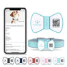 NFC Smart QR Code Pet ID Tag in bowknot silicone design shown in multiple colors with smartphone displaying pet contact info.