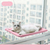 White cat lounging on a pink hanging cat window hammock attached to a glass window with suction cups for birdwatching and sunbathing