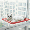White cat resting on a red hanging cat window hammock attached with suction cups and ropes to a large window.