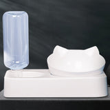 No spill Dog feeder bowl