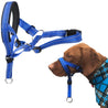 Blue adjustable nylon dog muzzle and head halter on brown dog for biting and barking control