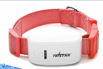 Cat GPS Tracker with pink adjustable collar for real-time pet location and smart alerts