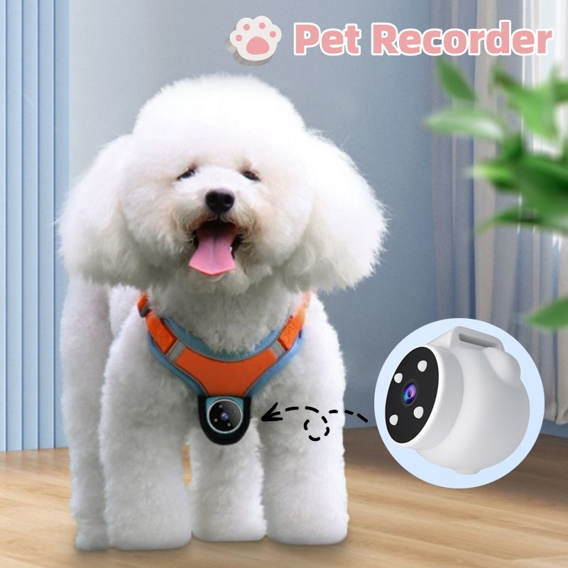 Small white dog wearing an orange pet harness with a GPS pet tracker collar camera attached showing 170° wide-angle recording.