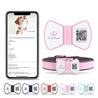 NFC Smart QR Code Pet ID Tag silicone bowknot design on pet collar with smartphone displaying contact info for lost pet safety