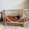 Handmade rattan woven pet bed with cushion and small dog resting inside