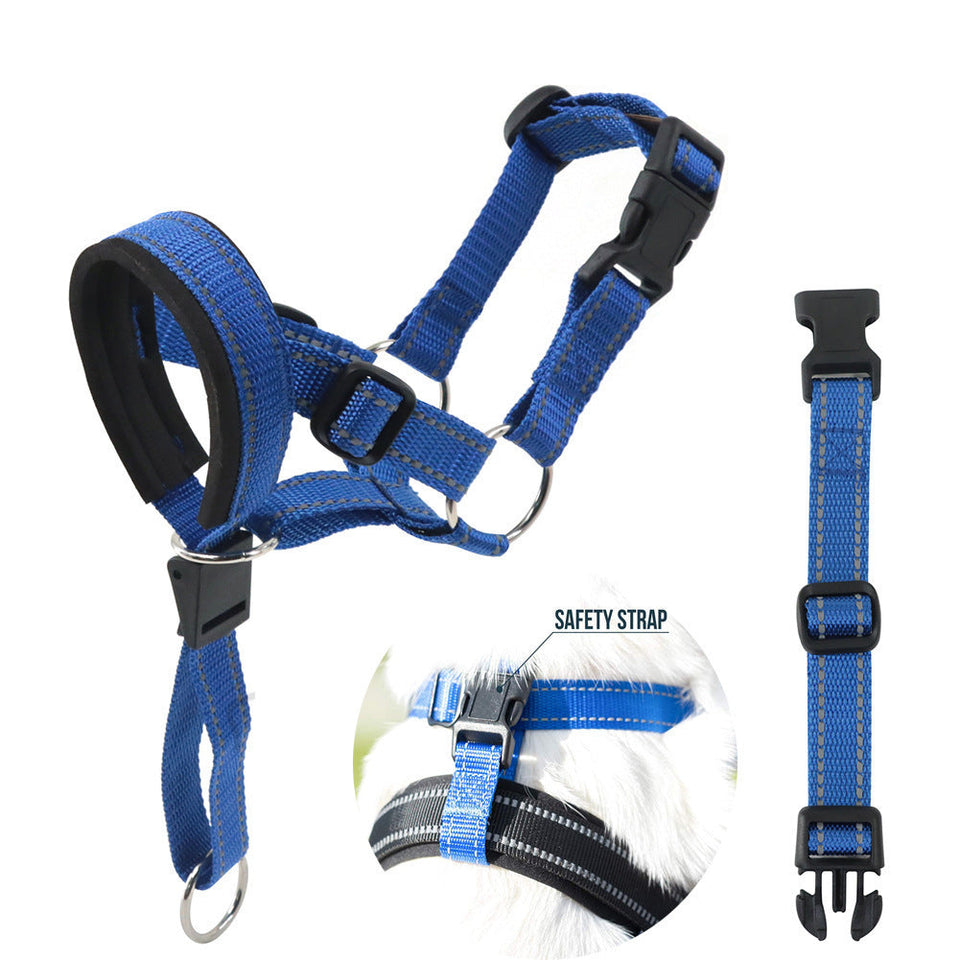 Blue adjustable nylon dog muzzle head halter with safety strap for biting and barking control