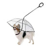 Small dog protected by clear canopy dog umbrella with adjustable handle and built-in leash for rainy weather walks